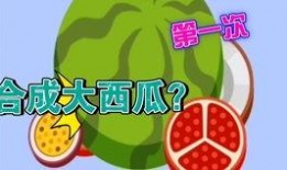 必吃大瓜 fill研究免费入口,免费入口背后的fill研究奥秘